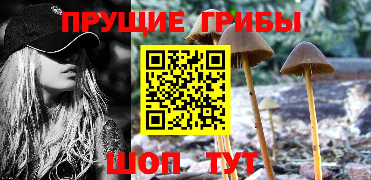 Назарово  Галлюциногенные грибы Psilocybe  Вход с VPN  Псилоцибиновые грибы мицелий 